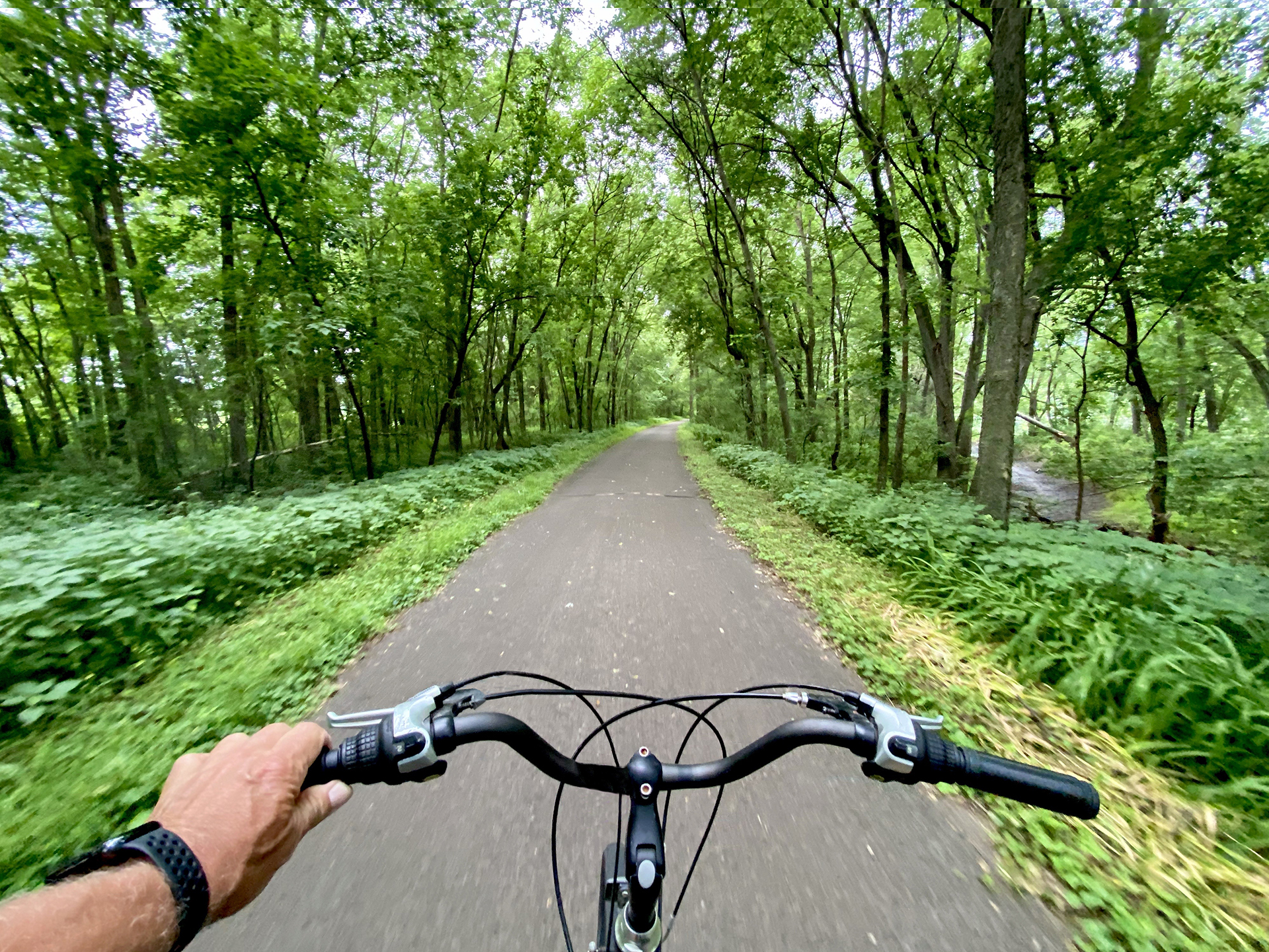 person on bike trail with trees - Cadence on Canal New Haven CT luxury apartments